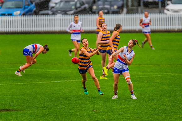 Rd 8 WPD - UNSW-ES v Sydney Uni - 1 June 2024
