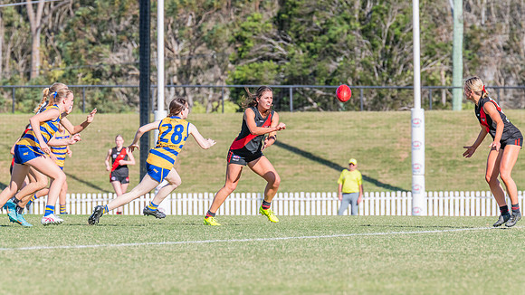 WPD Elimination Final - North Shore v Sydney Uni - 1 September 2