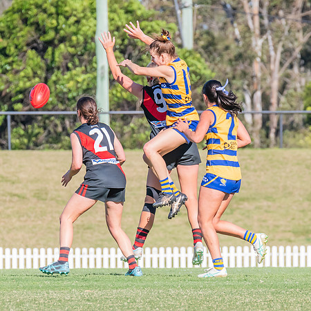 WPD Elimination Final - North Shore v Sydney Uni - 1 September 2