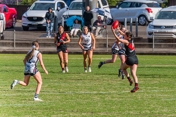 WPD Elimination Final - North Shore v Inner West - 7 August 2022