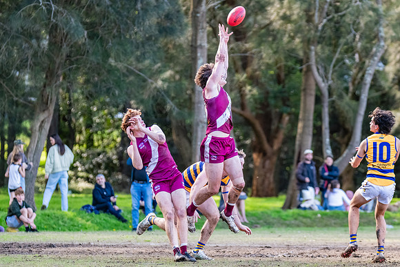 Rd 17 MPD - Manly Warringah v Sydney Uni - 16 August 2025