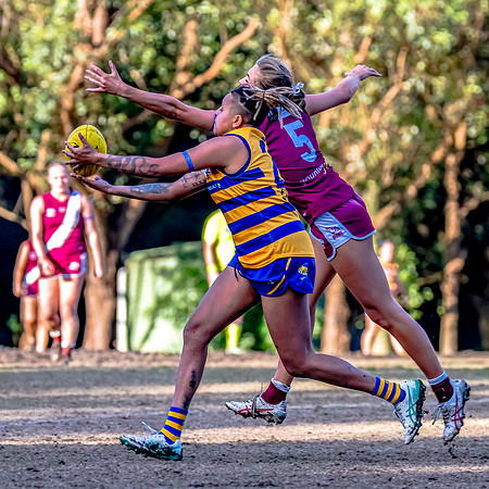 Rd 17 WPD - Manly Warringah v Sydney Uni - 16 August 2025