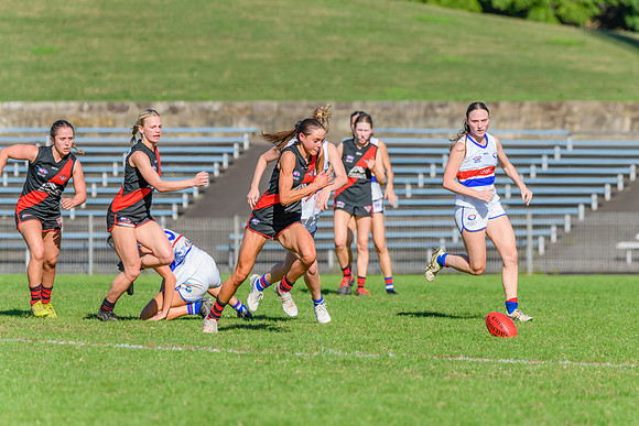 Rd 6 WPD - UNSW ES v North Shore - 14 May 2022