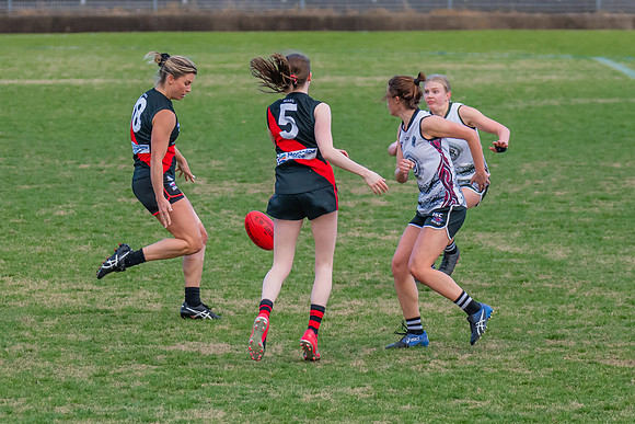 WPD Elimination Final - North Shore v Inner West - 7 August 2022