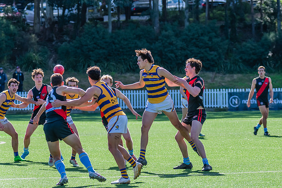 Rd 15 MPD - North Shore v Sydney Uni - 3 August 2024