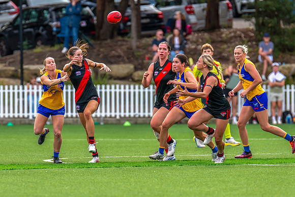 Rd 4 WPD - North Shore v East Coast - 26 April 2025