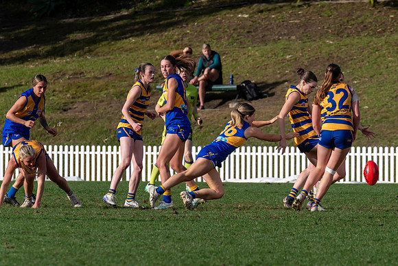 Rd 12 WPD - Sydney Uni v East Coast - 5 July 2025