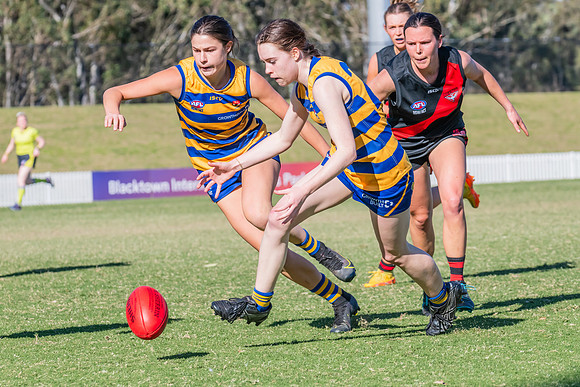 WPD Elimination Final - North Shore v Sydney Uni - 1 September 2