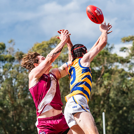 Rd 17 MPD - Manly Warringah v Sydney Uni - 16 August 2025