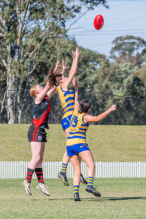 WPD Elimination Final - North Shore v Sydney Uni - 1 September 2