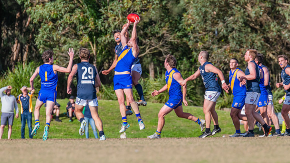 Black Diamond Plate Men's Nelson Bay v Newcastle City - 17 Septe