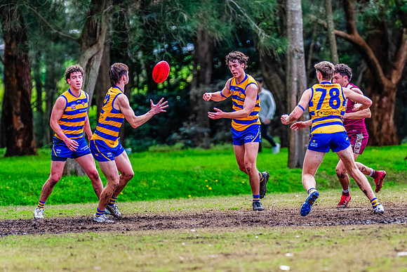 Rd 17 U19s Div 1 - Manly Warringah v Sydney Uni - 16 August 2025
