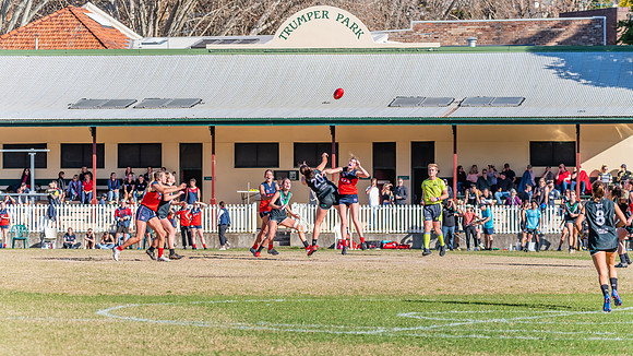 Rd 11 WPD - UTS v Pennant Hills - 25 June 2022