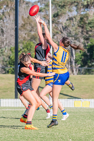 WPD Elimination Final - North Shore v Sydney Uni - 1 September 2