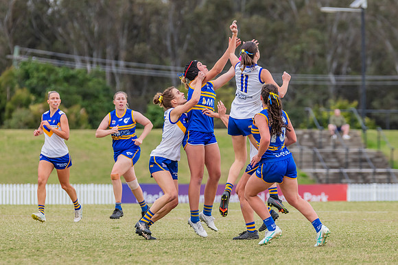 WPD Semi Final - Parramatta v Sydney Uni - 8 September 2024