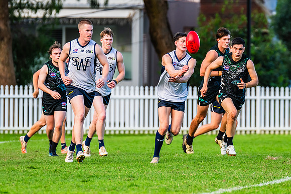 Rd 8 MPD - UTS v SWS - 31 May 2025