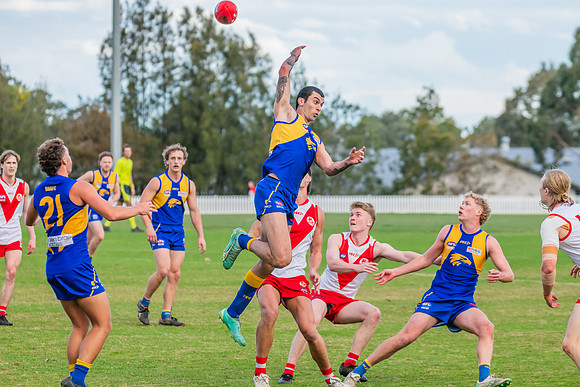 Rd 17 MPD - East Coast v St George - 17 August 2024