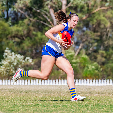 WPD Preliminary Final - East Coast v Sydney Uni - 14 September 2