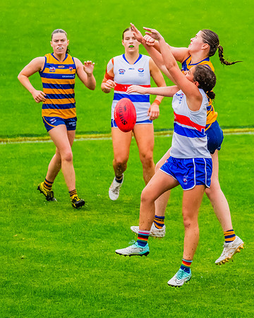 Rd 8 WPD - UNSW-ES v Sydney Uni - 1 June 2024