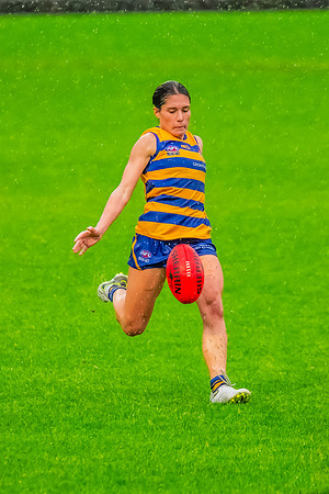 Rd 8 WPD - UNSW-ES v Sydney Uni - 1 June 2024