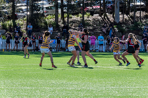 Rd 3 WPD - North Shore v Sydney Uni - 23 April 2022