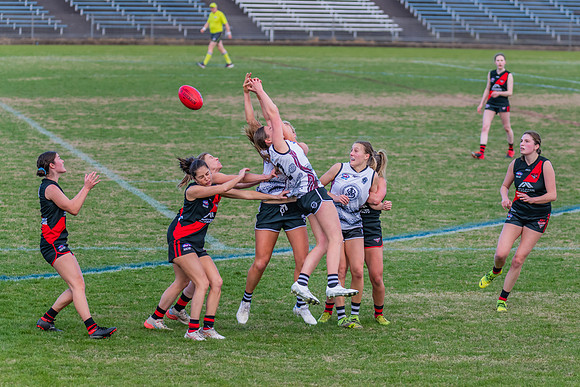 WPD Elimination Final - North Shore v Inner West - 7 August 2022