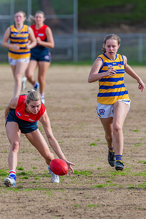 Rd 14 WPD - Pennant Hills v Sydney Uni - 16 July 2022