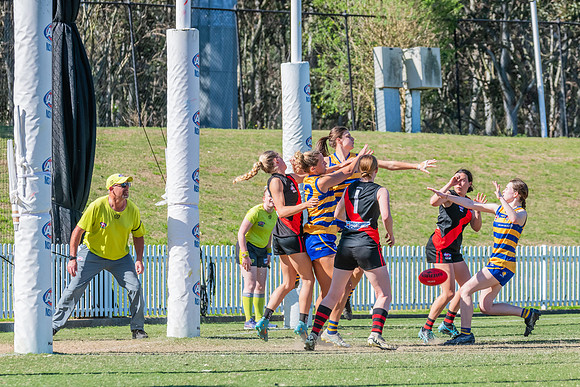 WPD Elimination Final - North Shore v Sydney Uni - 1 September 2