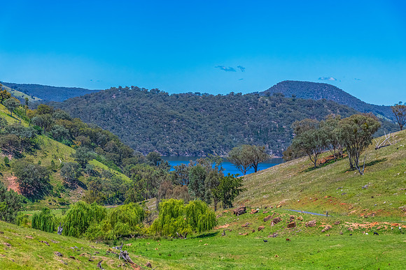 Summertime at Windamere Dam or Lake Windameere in Cudgegong clos