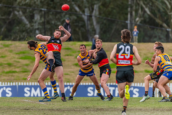 Men's Div 1 Preliminary Final - Sydney University v Western Magi