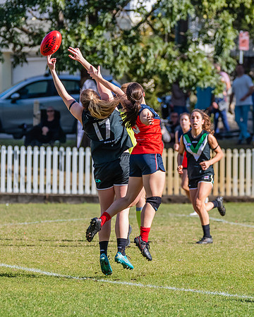 Rd 11 WPD - UTS v Pennant Hills - 25 June 2022