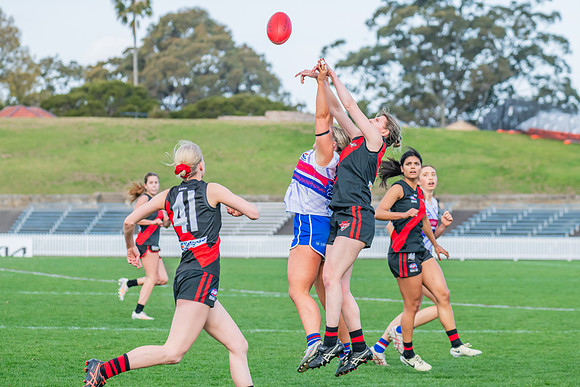 Rd 16 WPD - UNSW-ES v North Shore - 10 August 2024