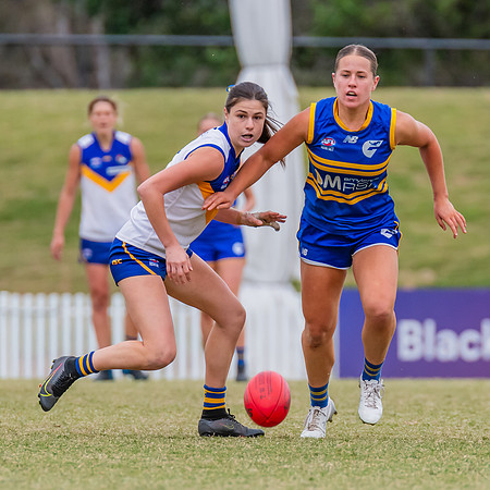 WPD Semi Final - Parramatta v Sydney Uni - 8 September 2024