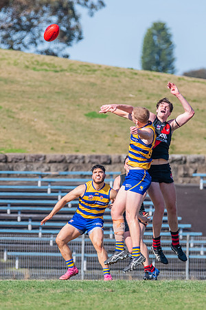 MPD Reserves Major Semi Final - Sydney University v North Shore